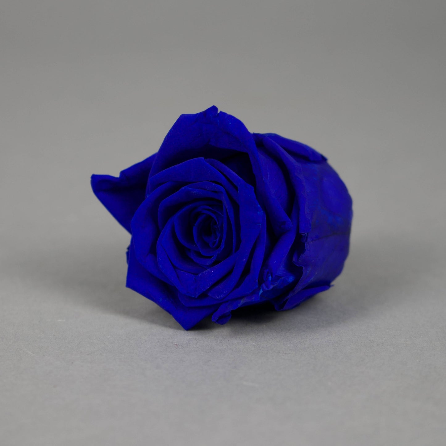Wieczna róża w granatowym kolorze - opakowanie 6 szt