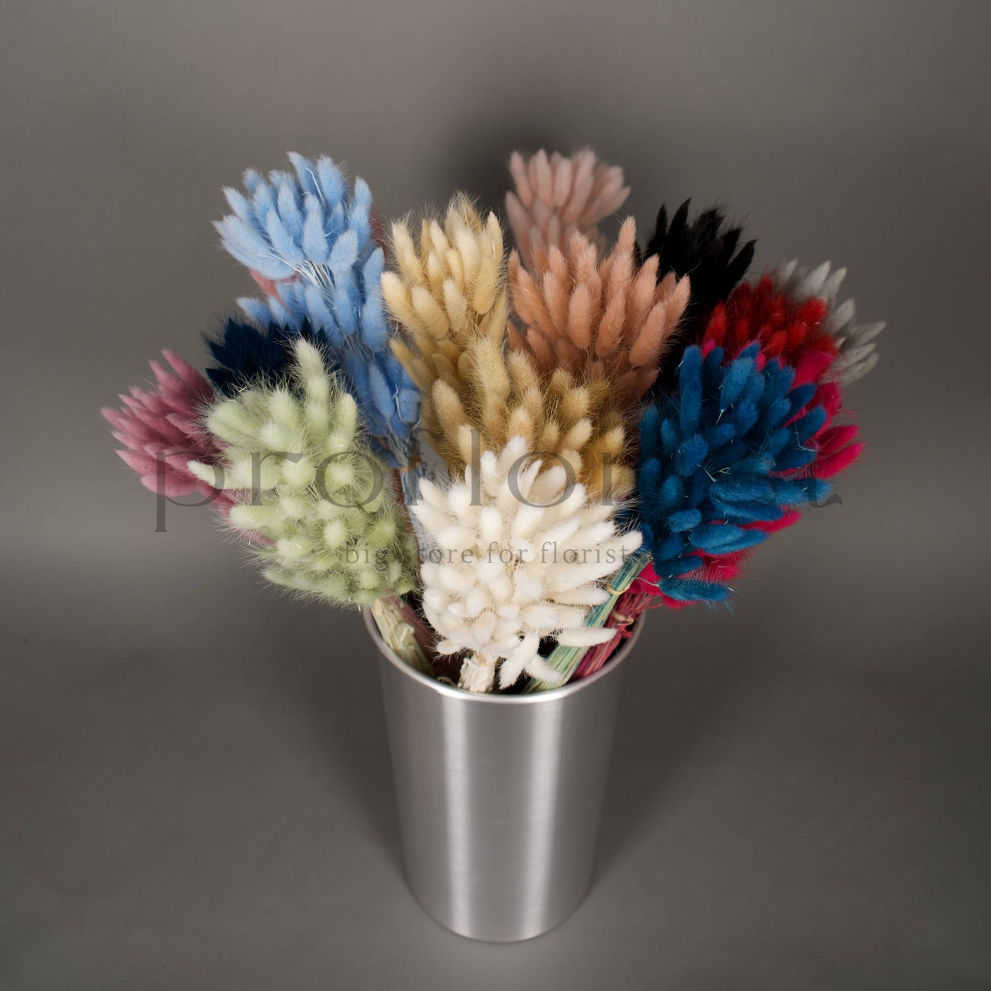 Suszony Lagurus Dmuszek jajowaty CZARNY - bukiet 60 szt