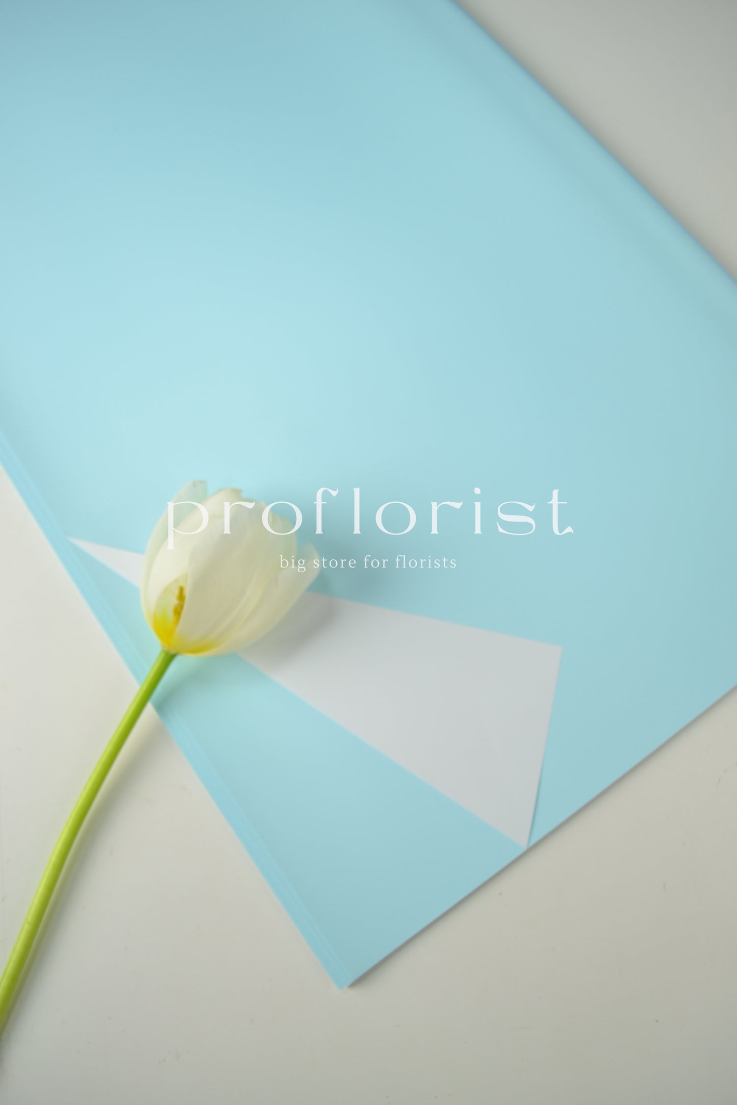 Folia ozdobna florystyczna matowa wodoodporna dwustronna, dwukolorowa satynowa do opakowania bukietów w arkuszach, 20 szt, premium jakość, biały i stonowany kolor błękitny | Proflorist