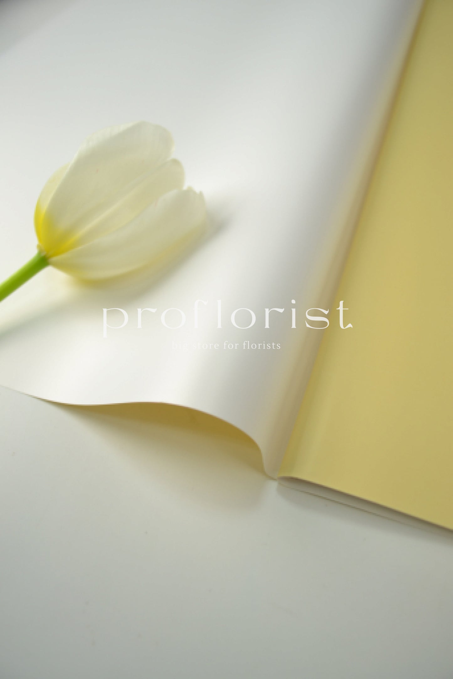 Folia ozdobna florystyczna matowa wodoodporna dwustronna, dwukolorowa satynowa do opakowania bukietów w arkuszach, 20 szt, premium jakość, biały i stonowany kolor żółty | Proflorist