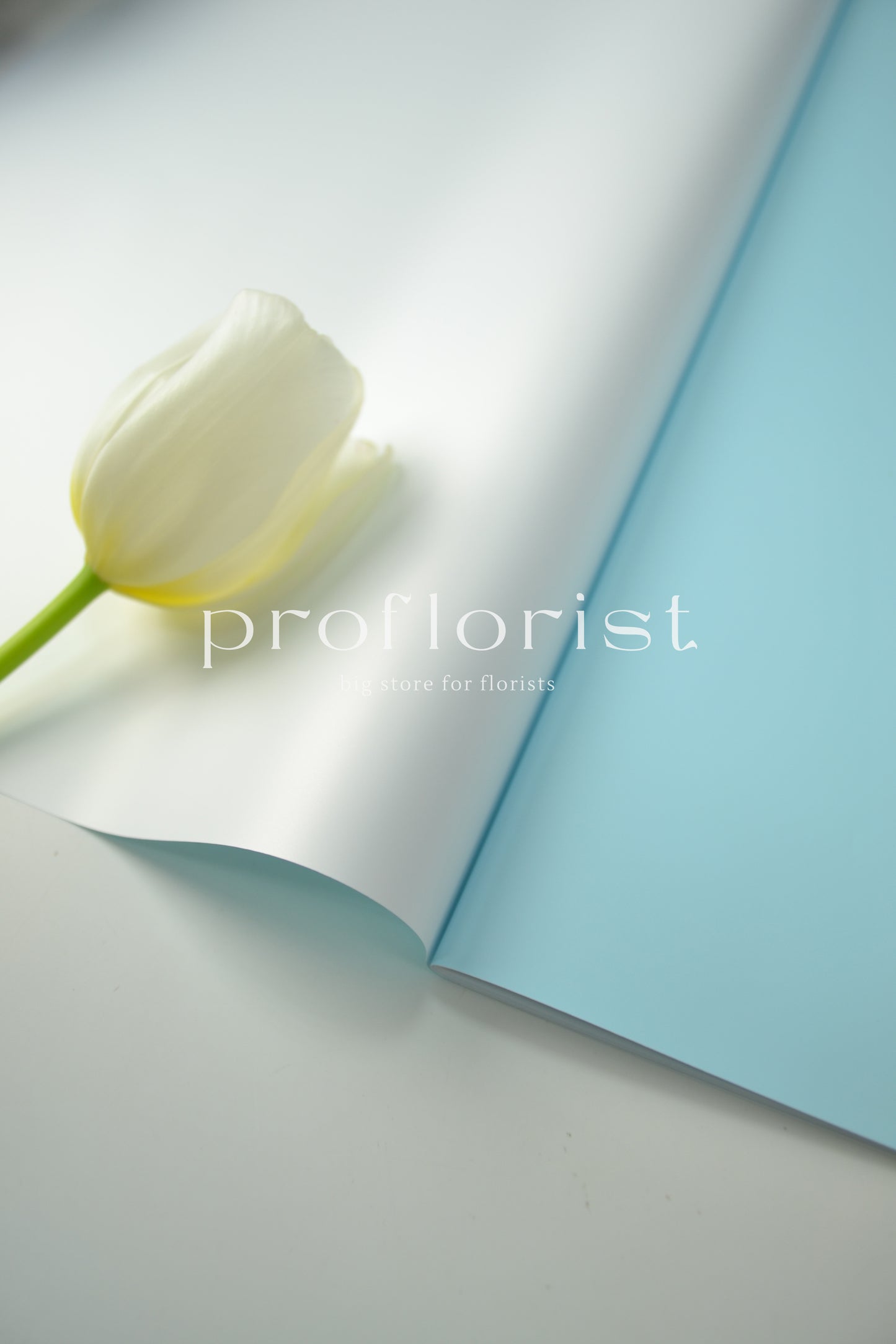 Folia ozdobna florystyczna matowa wodoodporna dwustronna, dwukolorowa satynowa do opakowania bukietów w arkuszach, 20 szt, premium jakość, biały i stonowany kolor błękitny | Proflorist