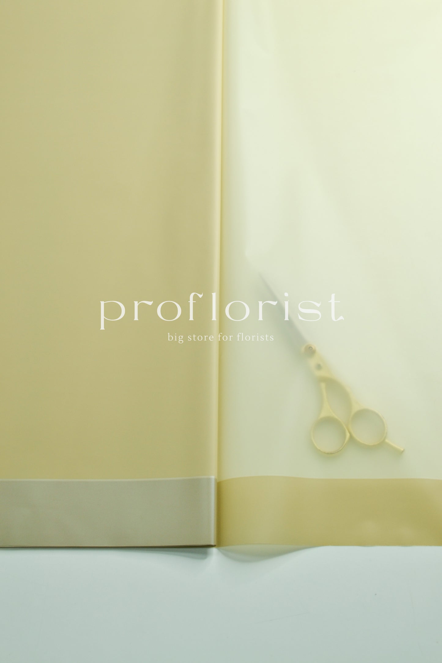 Folia ozdobna florystyczna kolorowa matowa wodoodporna z szeroką krawędzią z połyskiem premium do opakowania bukietów w arkuszach, 20 szt, premium jakość, beżowy | Proflorist