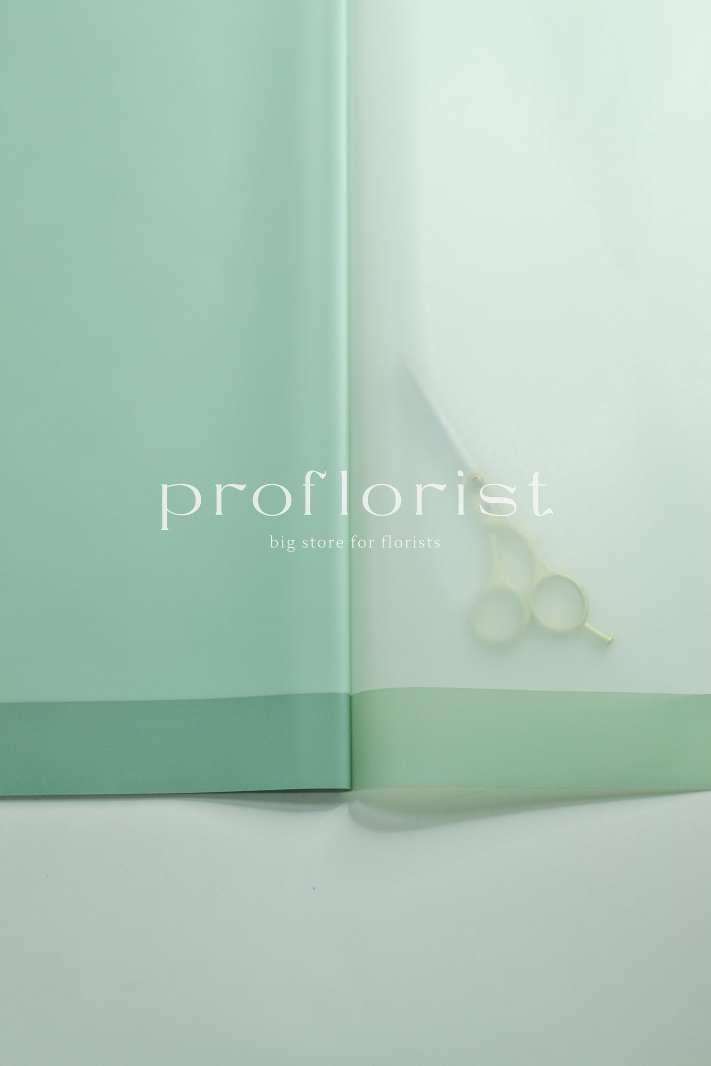 Folia ozdobna florystyczna kolorowa matowa wodoodporna z szeroką krawędzią z połyskiem premium do opakowania bukietów w arkuszach, 20 szt, premium jakość, miętowy | Proflorist