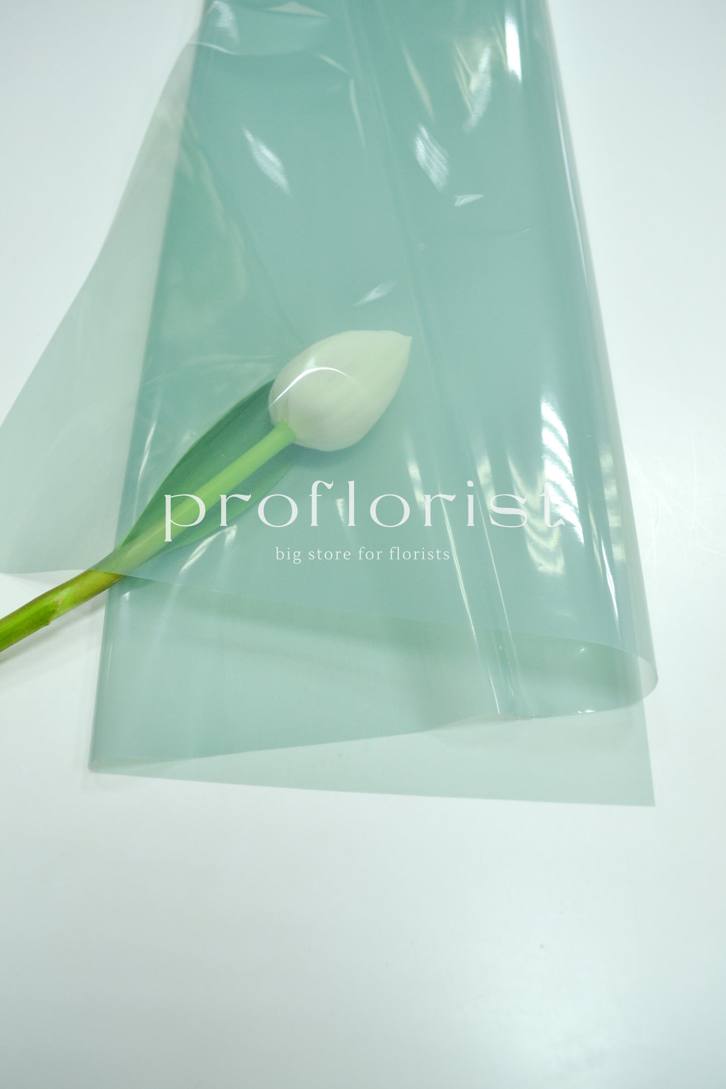 Folia ozdobna florystyczna kolorowa cienka wodoodporna do opakowania bukietów w arkuszach, 20 szt, premium jakość, kolor jednolity butelkowa zieleń | Proflorist