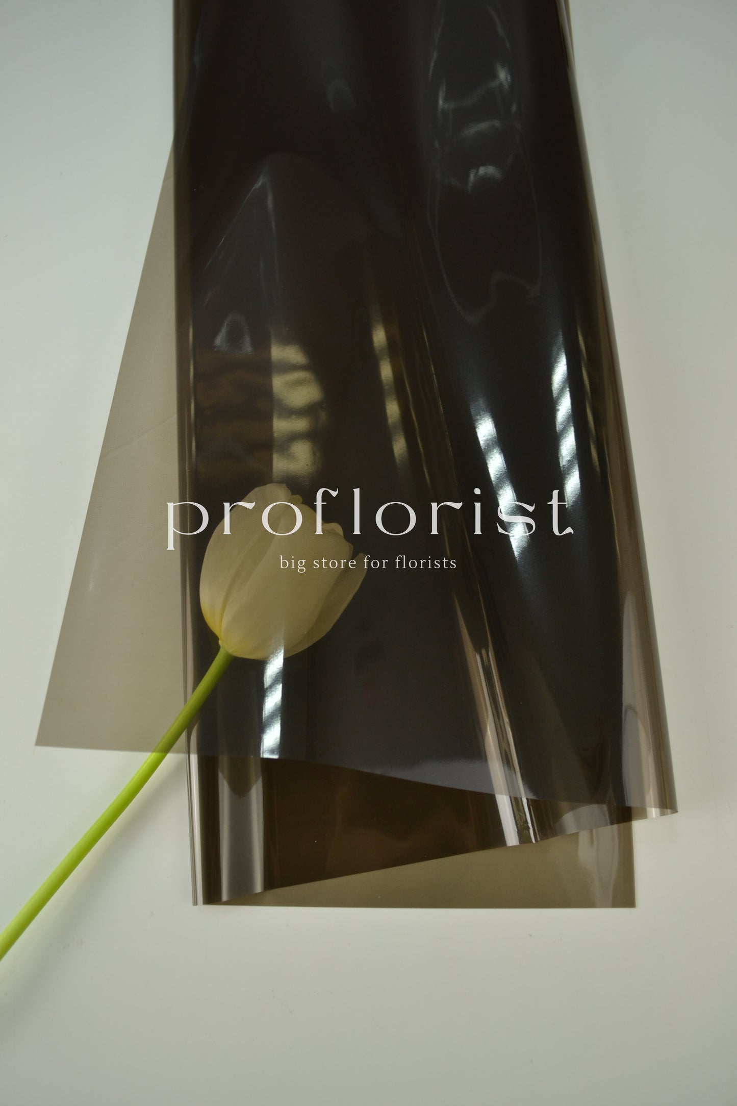 Folia ozdobna florystyczna kolorowa cienka wodoodporna do opakowania bukietów w arkuszach, 20 szt, premium jakość, kolor jednolity czarny | Proflorist