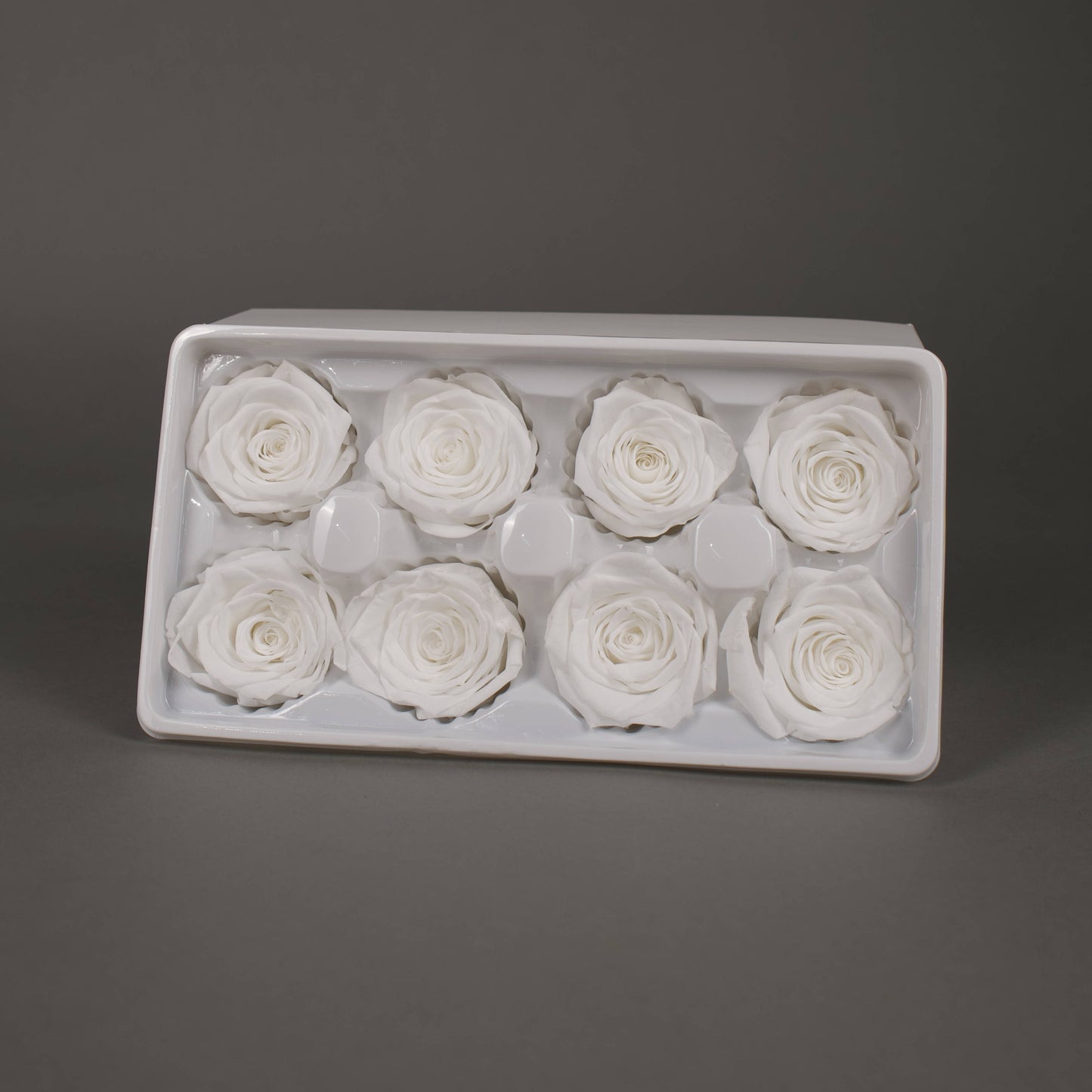 Wieczna róża w białym kolorze - opakowanie 8 szt