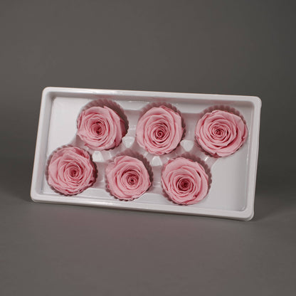 Wieczna róża w jasnoróżowym kolorze - opakowanie 6 szt