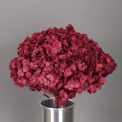 Hortensja stabilizowana Bordowa, 1 szt