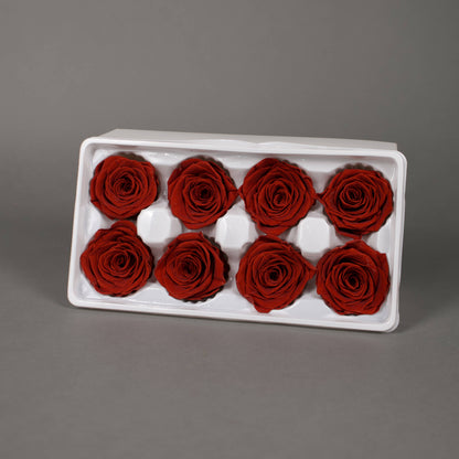 Wieczna róża w ciemnoczerwonym kolorze - opakowanie 8 szt