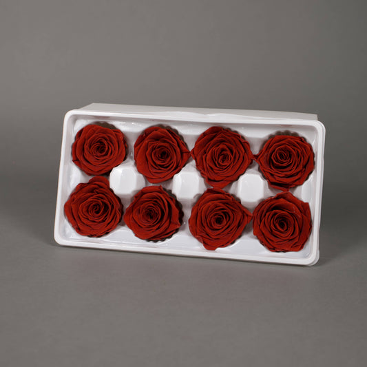Wieczna róża w ciemnoczerwonym kolorze - opakowanie 8 szt