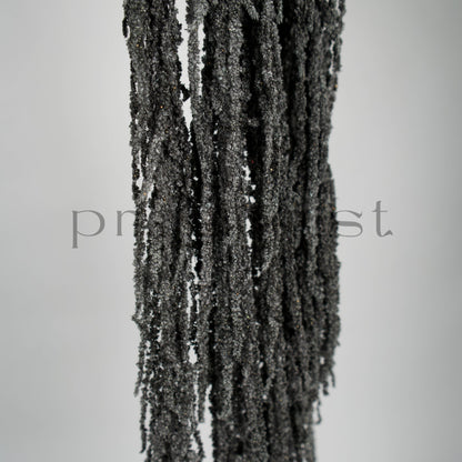 Amarantus stabilizowany (szarłat) Czarny – 5 gałęzi | 90–120 cm