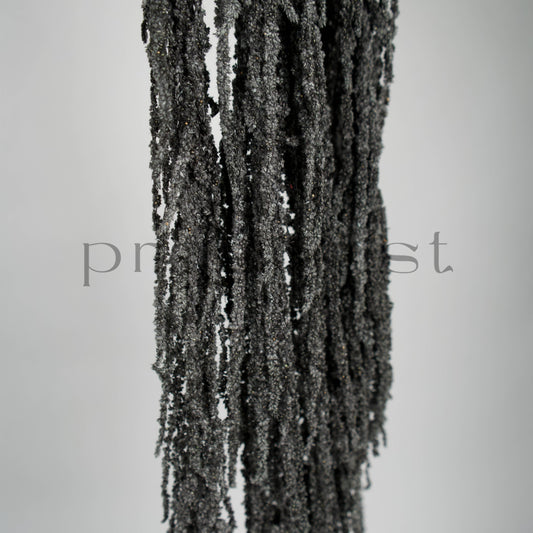 Amarantus stabilizowany (szarłat) Czarny – 5 gałęzi | 90–120 cm