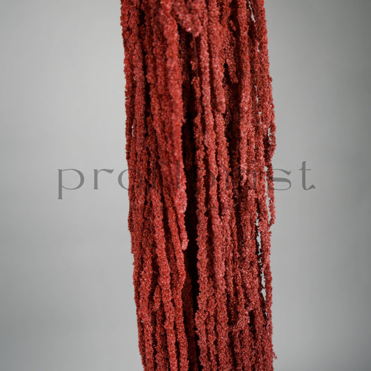 Amarantus stabilizowany (szarłat) Czerwony – 5 gałęzi | 90–120 cm