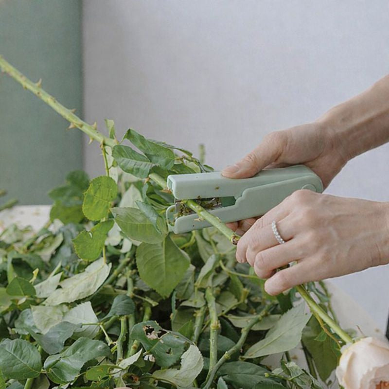 Ściągacz do kolców róż – narzędzie florystyczne