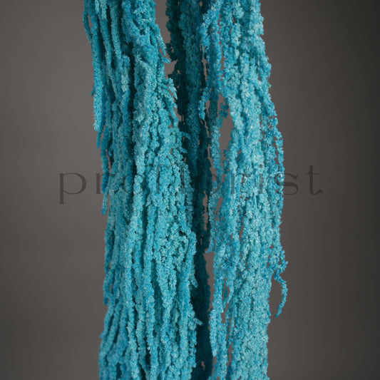 Amarantus stabilizowany (szarłat) Niebieski – 5 gałęzi | 90–120 cm