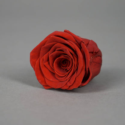 Wieczna róża w ciemnoczerwonym kolorze - opakowanie 8 szt