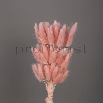 Suszony Lagurus Dmuszek jajowaty kolor PASTELOWY RÓŻ - bukiet 60 szt