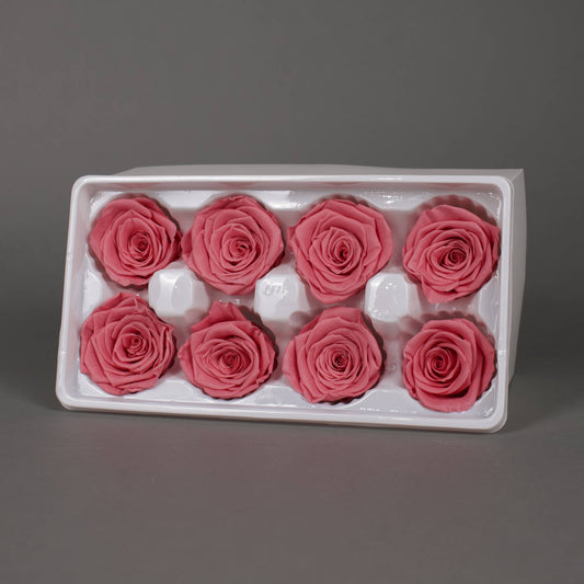 Wieczna róża w różowym kolorze - opakowanie 8 szt