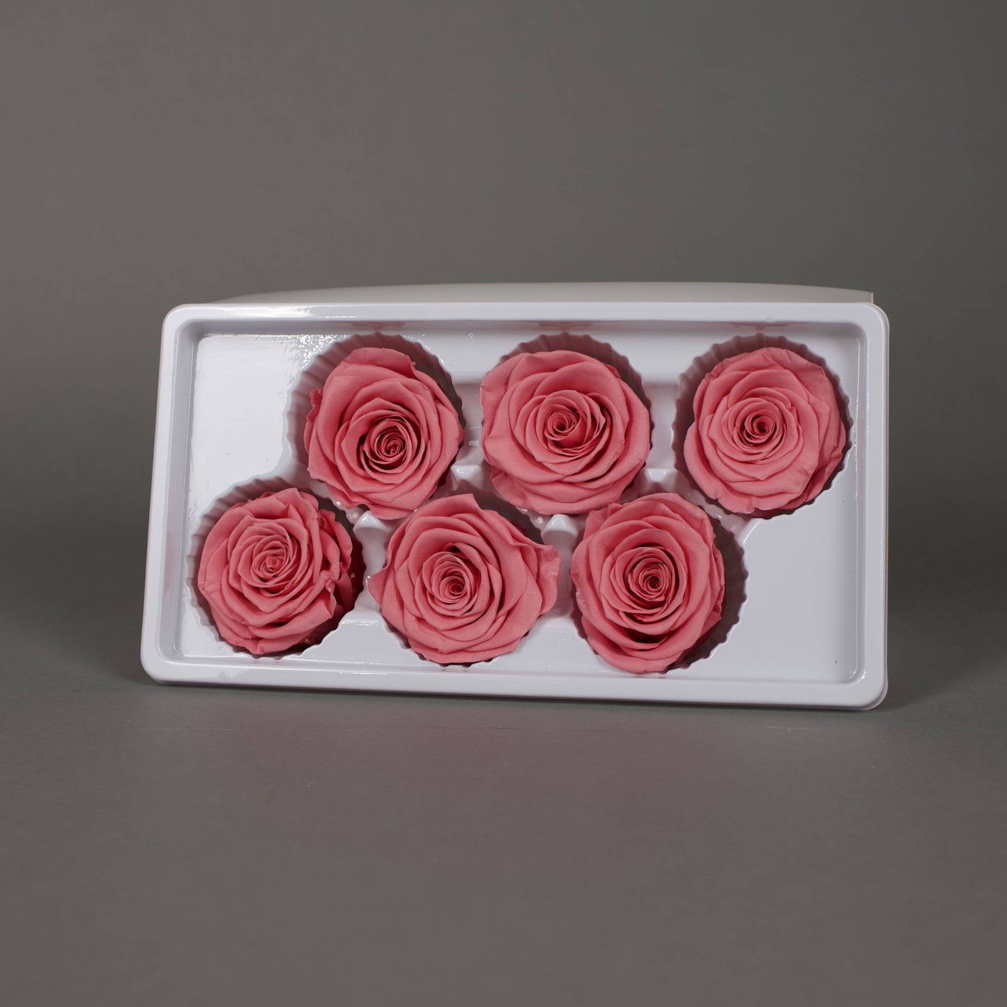 Wieczna róża w różowym kolorze - opakowanie  6 szt