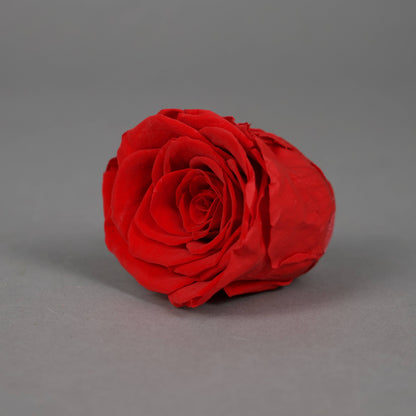 Wieczna róża w czerwonym kolorze - opakowanie 6 szt