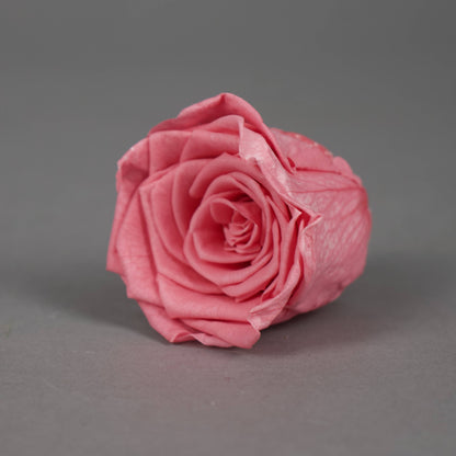 Wieczna róża w różowym kolorze - opakowanie 8 szt