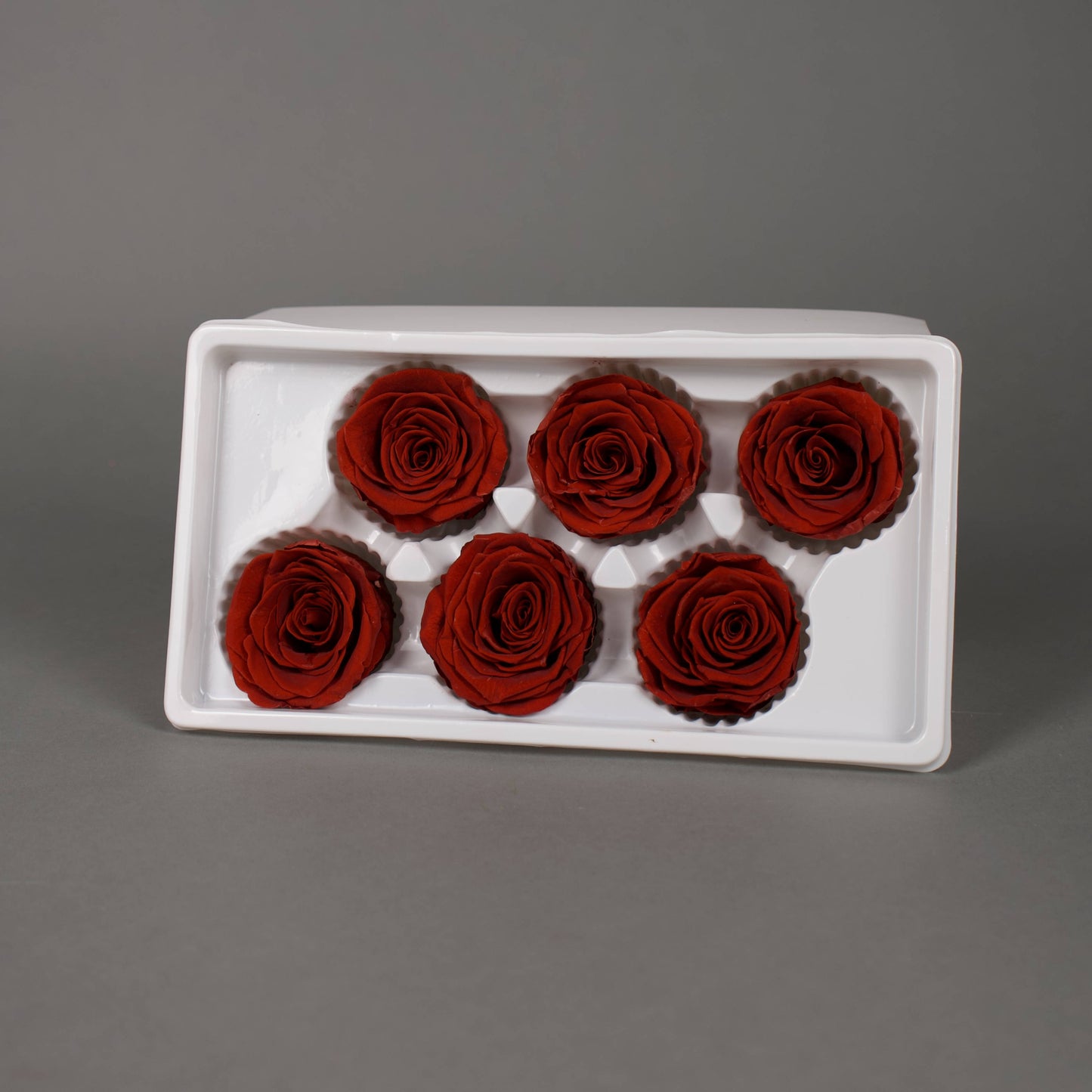 Wieczna róża w kolorze ciemnoczerwonym - opakowanie 6 szt