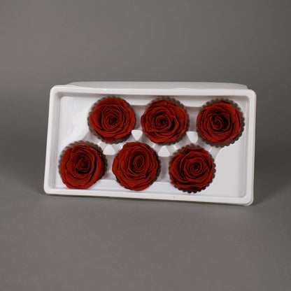 Wieczna róża w kolorze ciemnoczerwonym - opakowanie 6 szt
