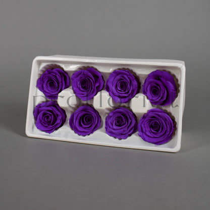 Wieczna róża w fioletowym kolorze - opakowanie 8 szt
