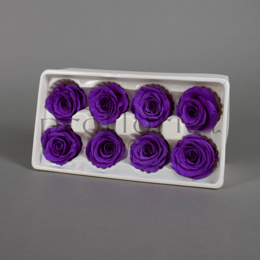 Wieczna róża w fioletowym kolorze - opakowanie 8 szt