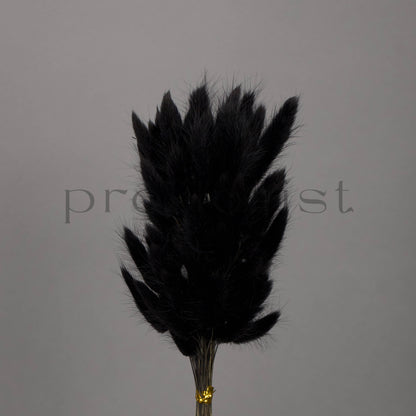 Suszony Lagurus Dmuszek jajowaty CZARNY - bukiet 60 szt