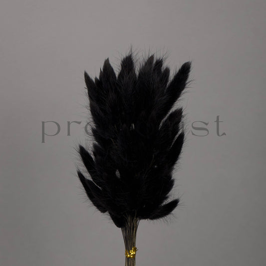 Suszony Lagurus Dmuszek jajowaty CZARNY - bukiet 60 szt