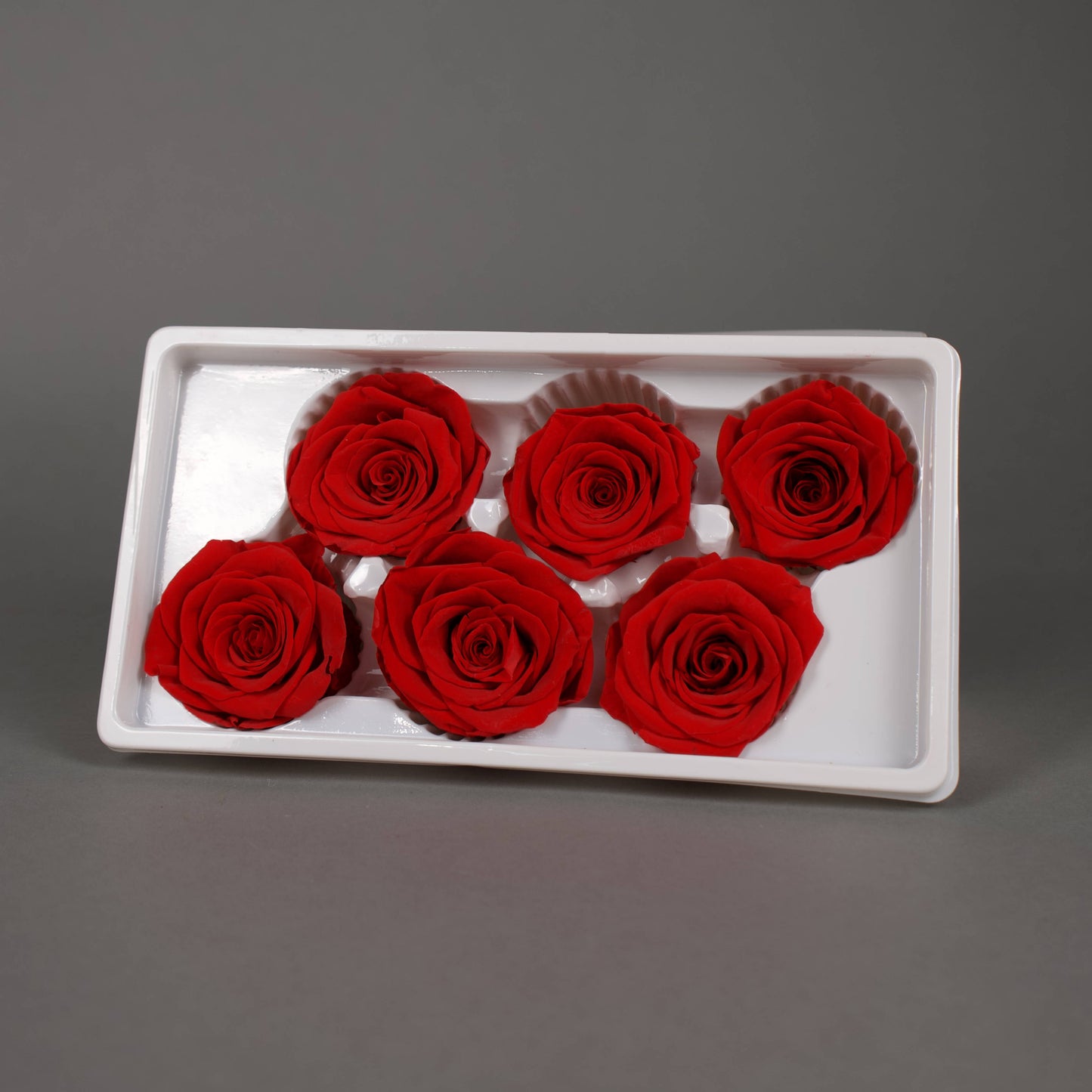 Wieczna róża w czerwonym kolorze - opakowanie 6 szt