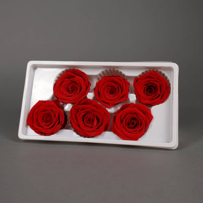 Wieczna róża w czerwonym kolorze - opakowanie 6 szt