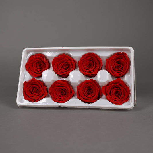 Wieczna róża w czerwonym kolorze opakowanie 8 szt