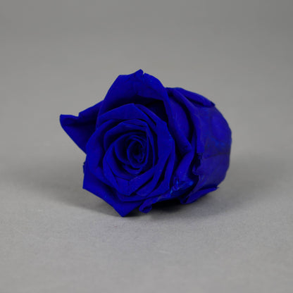 Wieczna róża w granatowym kolorze - opakowanie 6 szt