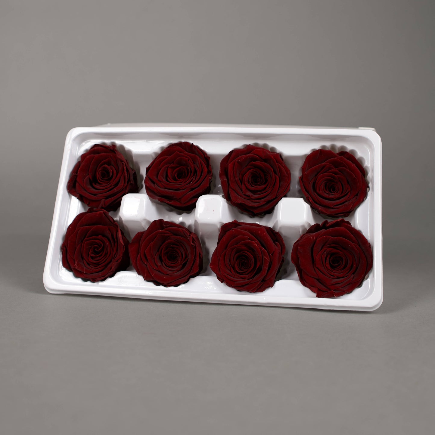 Wieczna róża w kolorze czerwone wino - opakowanie 8 szt