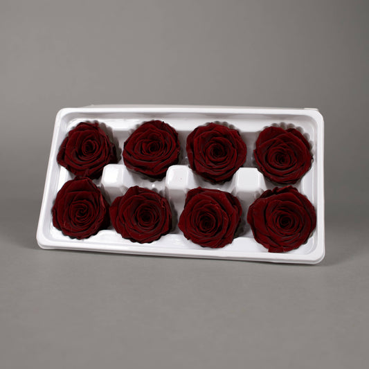 Wieczna róża w kolorze czerwone wino - opakowanie 8 szt