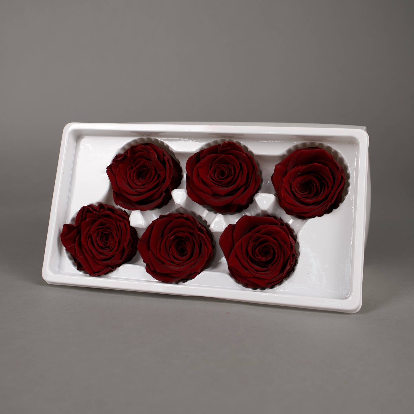 Wieczna róża w kolorze czerwone wino - opakowanie 6 szt