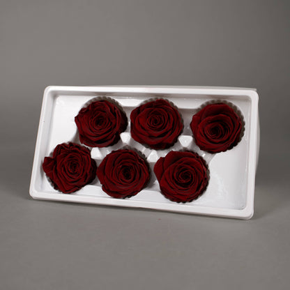 Wieczna róża w kolorze czerwone wino - opakowanie 6 szt