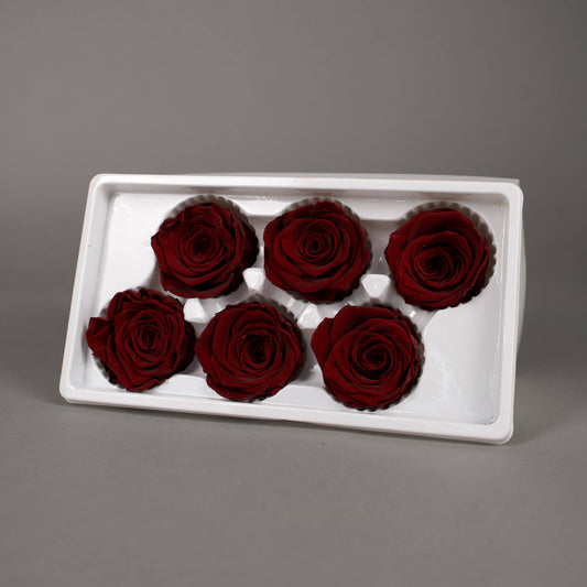 Wieczna róża w kolorze czerwone wino - opakowanie 6 szt