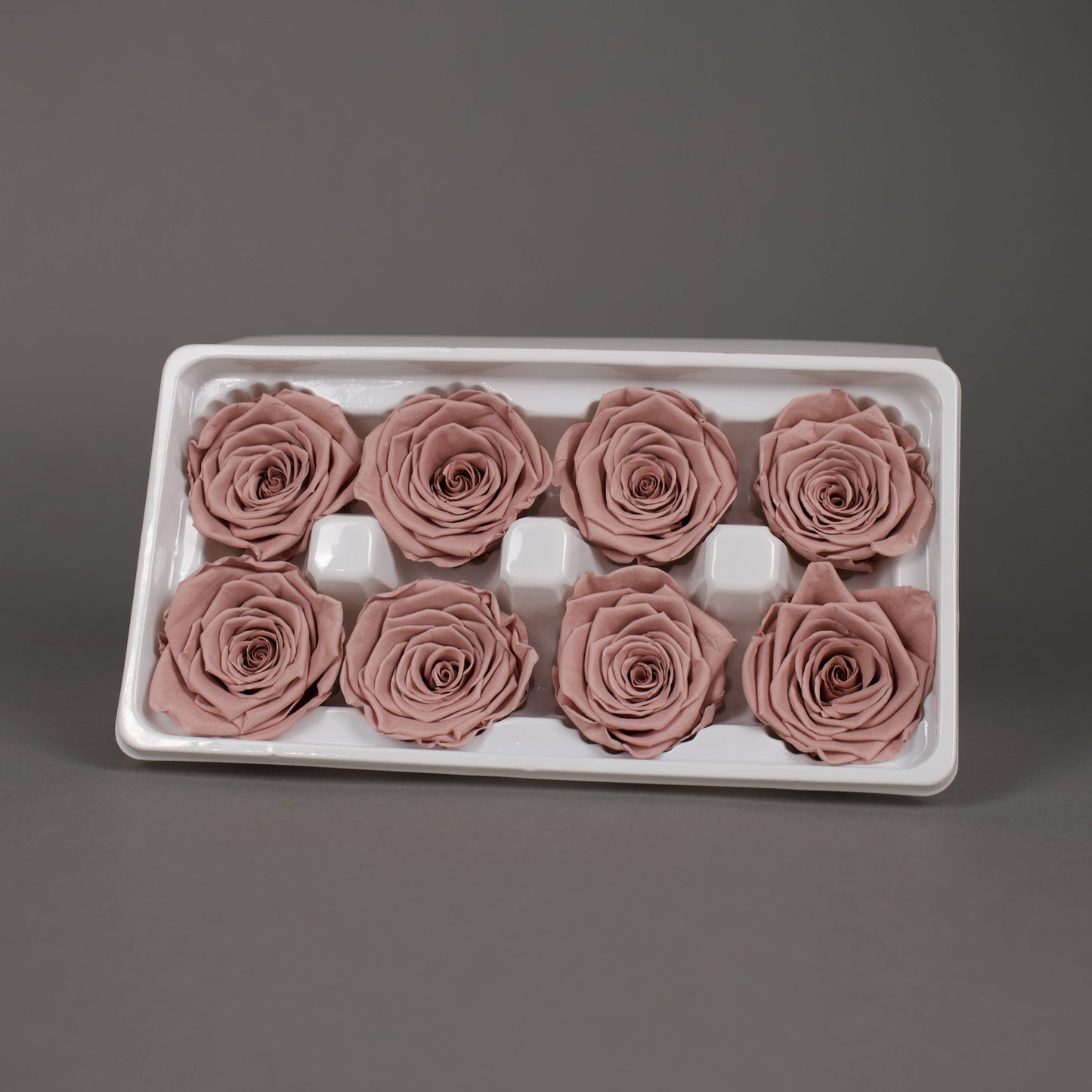 Wieczna róża w kolorze cappucino - opakowanie 8 szt