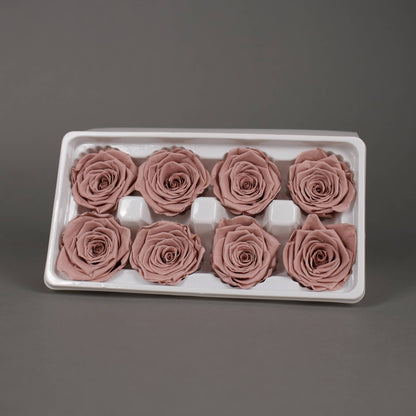 Wieczna róża w kolorze cappucino - opakowanie 8 szt