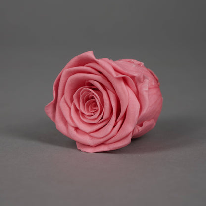 Wieczna róża w różowym kolorze - opakowanie  6 szt