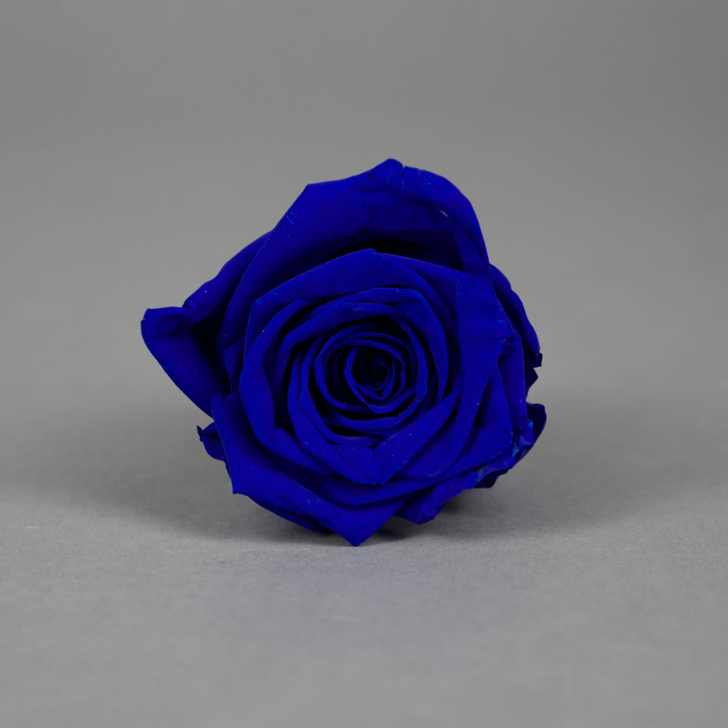 Wieczna róża w granatowym kolorze - opakowanie 6 szt