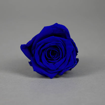 Wieczna róża w granatowym kolorze - opakowanie 6 szt