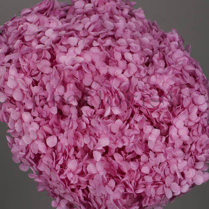 Hortensja stabilizowana Lawendowa, 1 szt