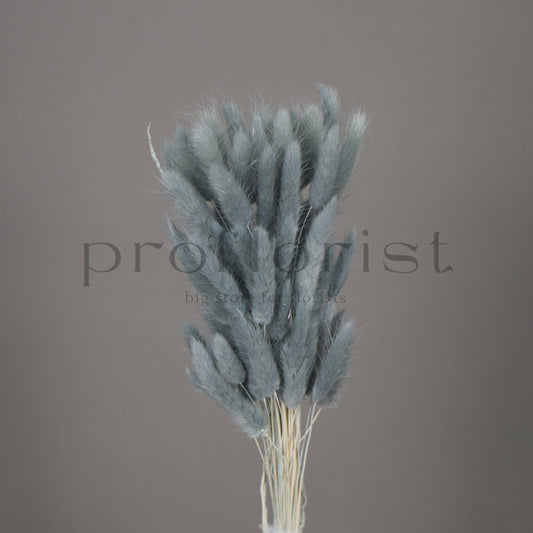 Suszony Lagurus Dmuszek jajowaty kolor SZARONIEBIESKI - bukiet 60 szt