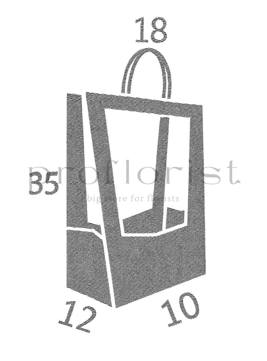 Torba florystyczna Médaillon Small – idealna do kwiatowych kompozycji i roślin