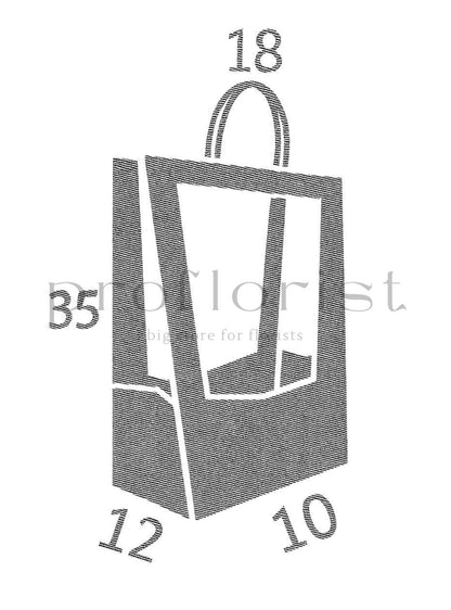 Torba florystyczna Médaillon Small – idealna do kwiatowych kompozycji i roślin