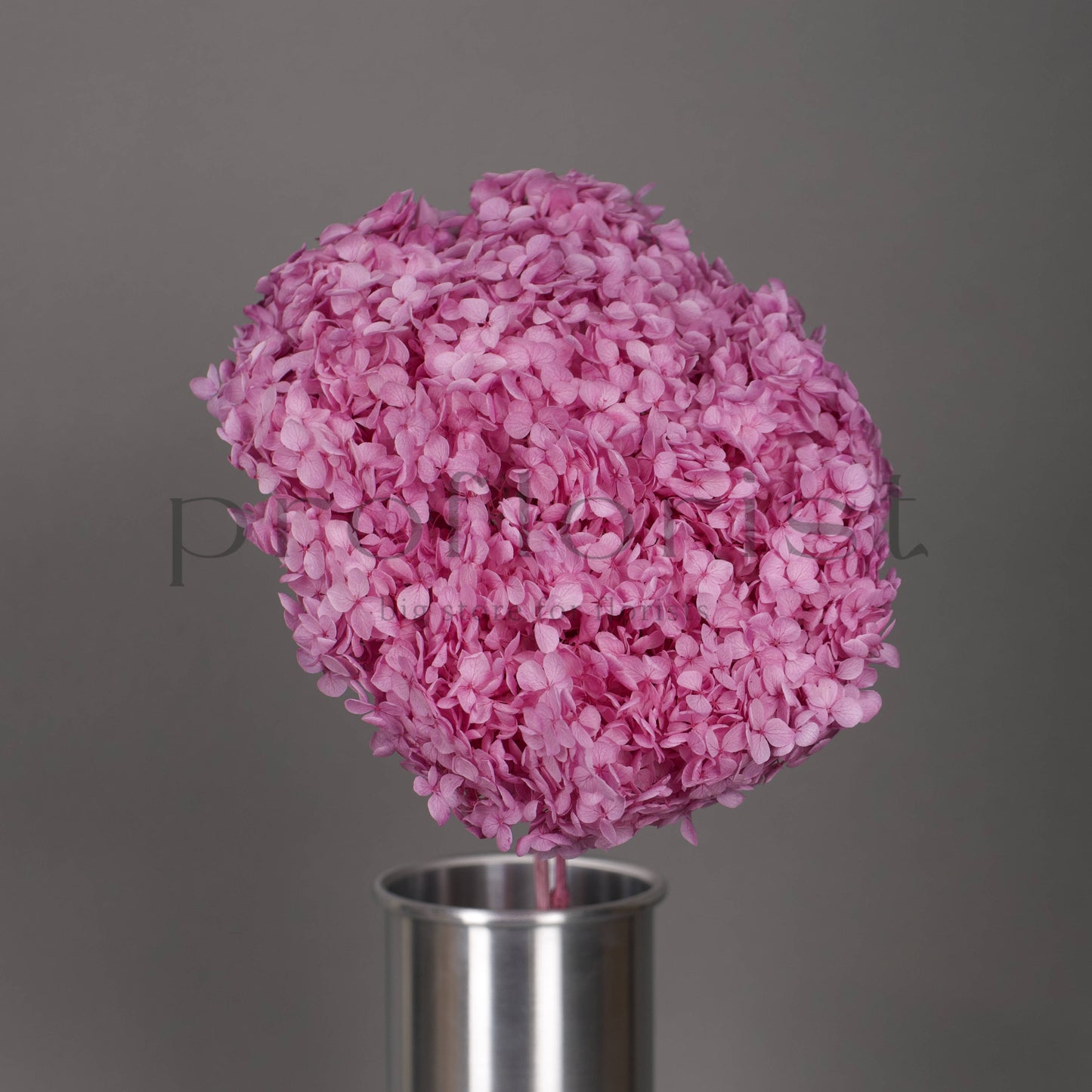 Hortensja stabilizowana Lawendowa, 1 szt